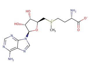 Ademetionine 1,4 – butanedisulfonate  (Omniabios S.r.l. Italy)